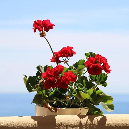 Amazing Sea View Daire Fuengirola