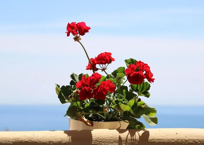 Amazing Sea View Apartment Fuengirola